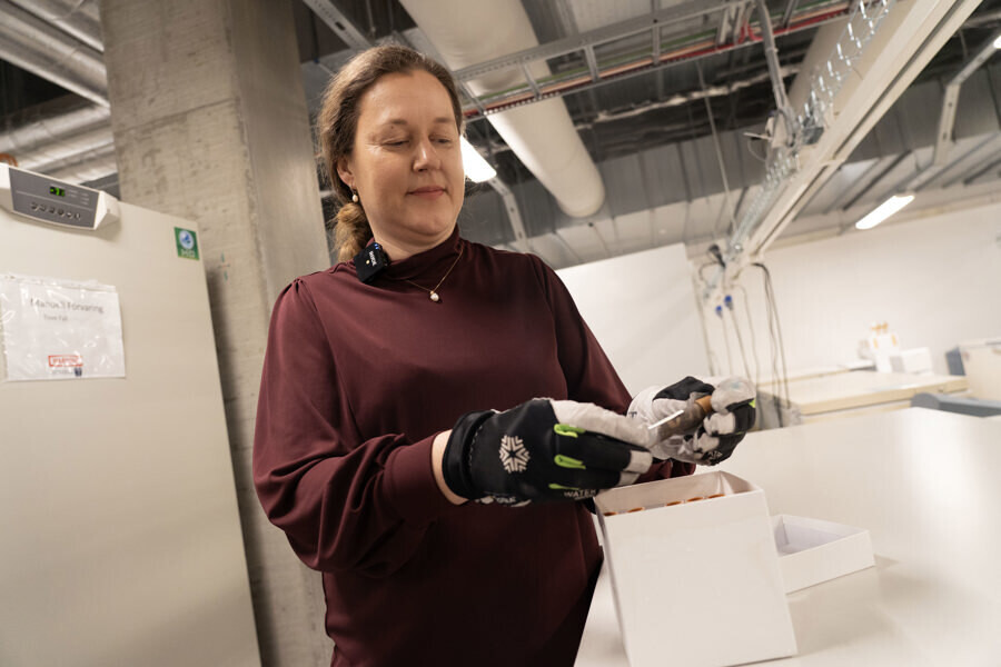 The Impact of Antibiotics on the Gut Microbiome Can Last Up to Eight Years