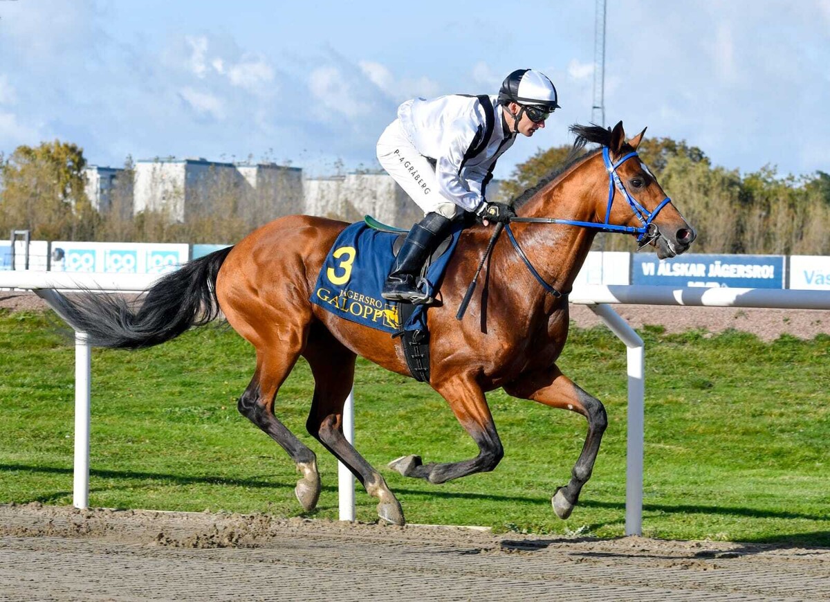 Прием мелких жокеев в Мальмё