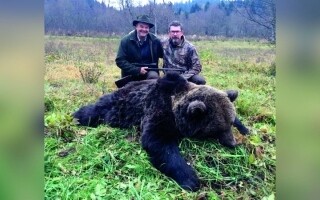 Сезон охоты на медведей начинается в Швеции на фоне протестов