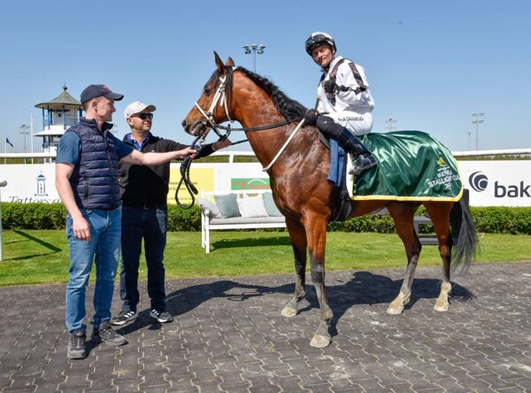 "Васим Аль-Халидия" выигрывает Кубок на чемпионате Stallions Equine в Швеции