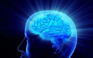 Влияние диабета на старение мозга, выявленное в исследовании